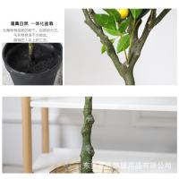 uploads/erp/collection/images/Home Garden/dgjiawang/XU0612796/img_b/XU0612796_img_b_4